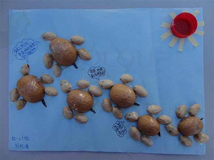 鮮核桃外殼可治療胃潰瘍、口腔潰瘍?